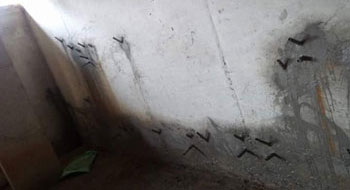  Sri Vinayaka Water Proofing