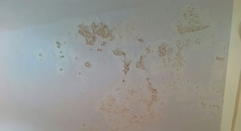  Sri Vinayaka Water Proofing