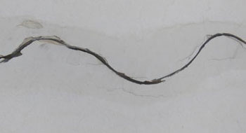  Sri Vinayaka Water Proofing